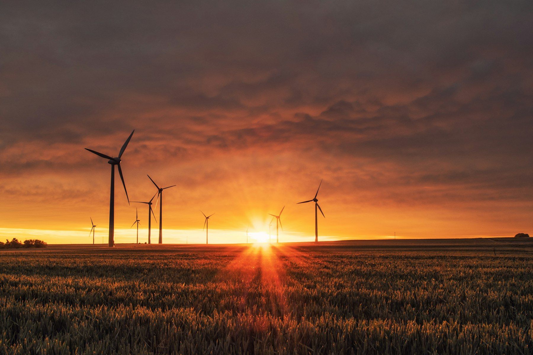 Wind turbines at sunset across open fields